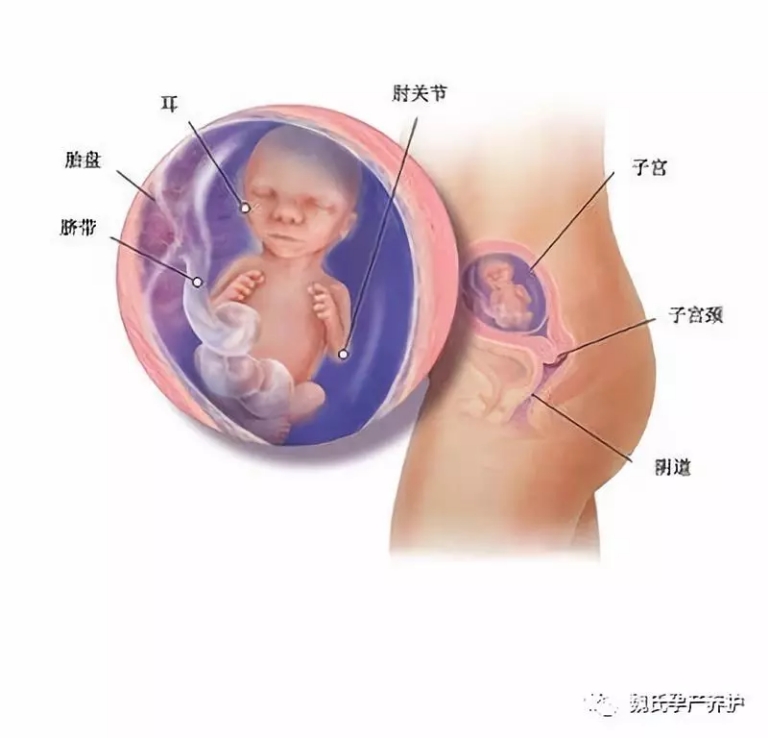 微信图片_20180808142642.jpg