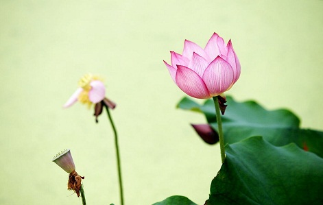 1547862406351422.jpg 201310231382508357546.jpg