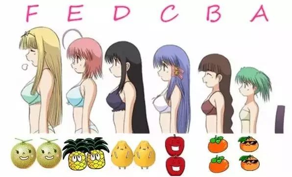 1551161111225961.jpg 微信图片_20190224111056.jpg