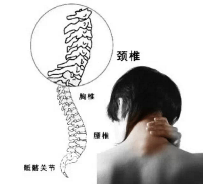 1552016003778185.jpg 01cac165f5654b6daa173a5a8924edb5_th.jpg