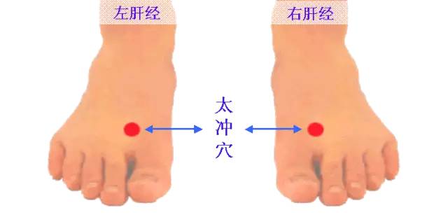 微信图片_20191205104813.jpg